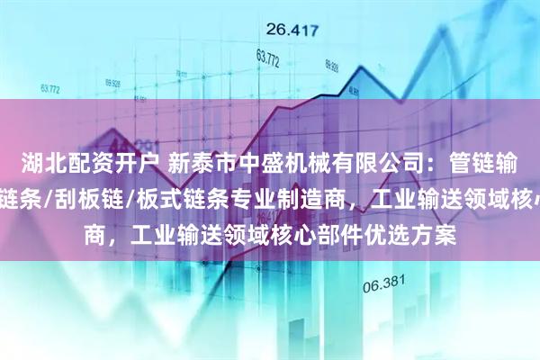 湖北配资开户 新泰市中盛机械有限公司：管链输送机链条/输送链条/刮板链/板式链条专业制造商，工业输送领域核心部件优选方案